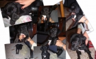 VENDO PERRITO RAZA BRAKO ITALIANO - mejor precio | unprecio.es