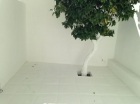 Apartamento en Mijas Costa - mejor precio | unprecio.es