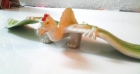 Monstruo dinosaurio de plastico alado - mejor precio | unprecio.es