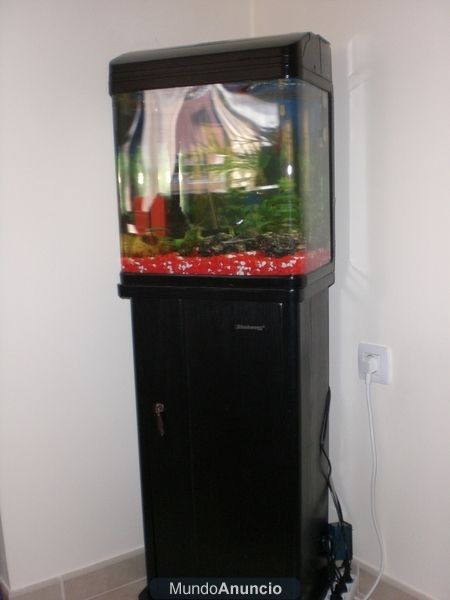 Intercambio acuario  por gato persa  o Vendo 150   acuario de 50L aprox. + mueble  y ...