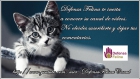 Canal de defensa felina sevilla. - mejor precio | unprecio.es