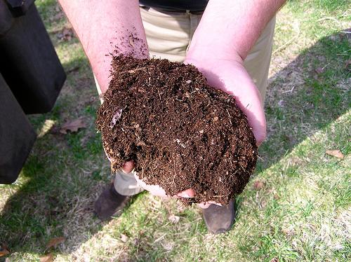 Compost natural (ideal huertos ecológico)