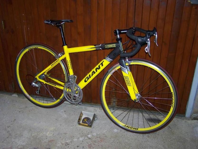Giant ocr team once replica