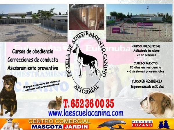 Adiestramiento canino Murcia - Escuela Canina