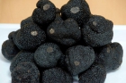 Trufa negra(Tuber Melanosporum) - mejor precio | unprecio.es