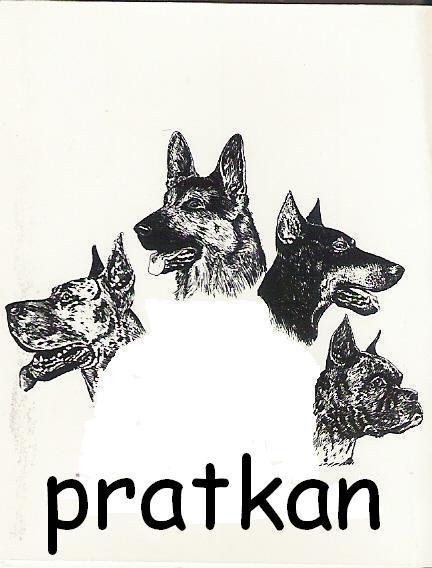 GRUPO DEPORTIVO CANINO GTP