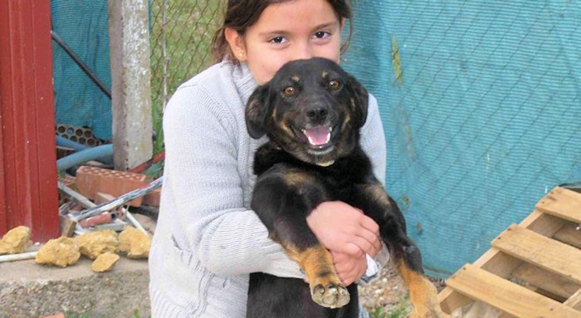 Boris, el perro amigo de los niños. adoptalo!