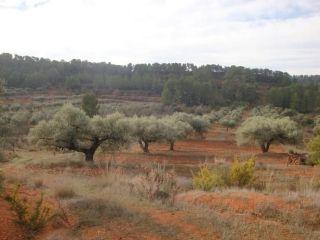 Finca/Casa Rural en venta en Tivissa, Tarragona (Costa Dorada)