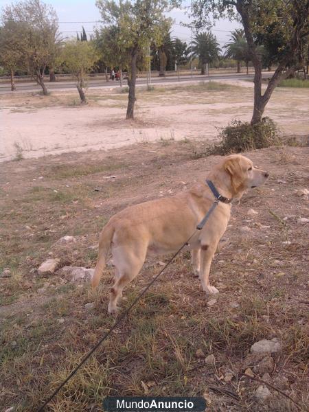 URGENTE!!!