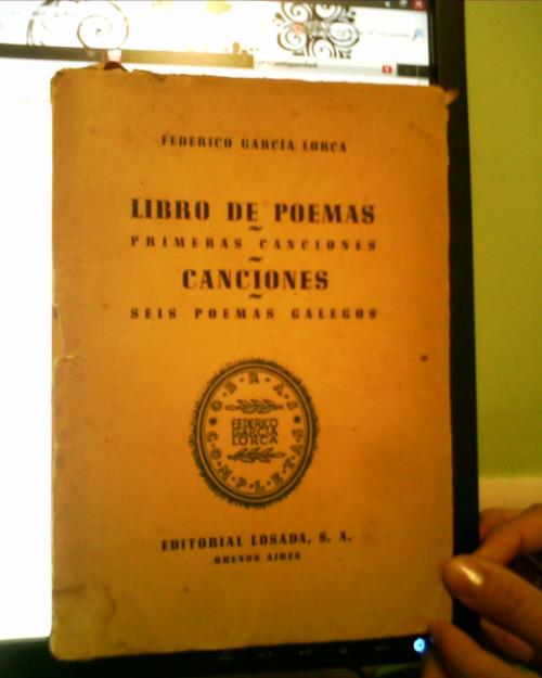 Libro de poemas De Federico Garcia LOrca