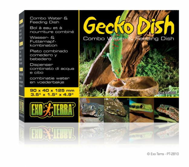 Exo Terra ComederoGecko Dish