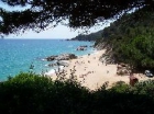 Piso en Lloret de Mar - mejor precio | unprecio.es