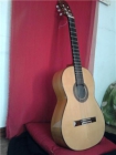 VENDO GUITARRA PICADO 53f CON FUNDA ACORAZADA INCLUIDA - mejor precio | unprecio.es