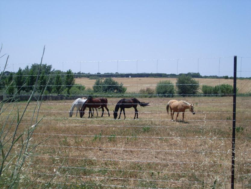 Se vende finca rustica