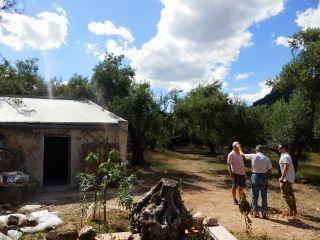 Finca/Casa Rural en venta en Tortosa, Tarragona (Costa Dorada)