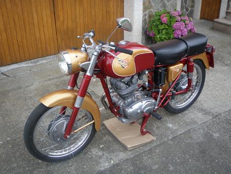 Ducati 175 TS Clasica