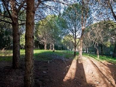 Terreno se vende en Alhaurin de la Torre