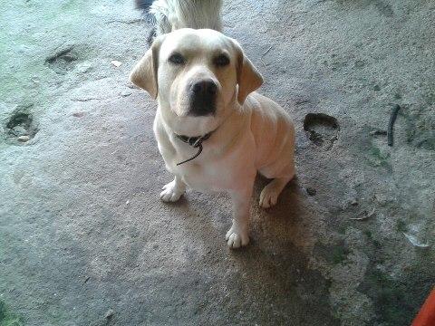Busco novia!!