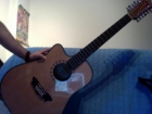 Guitarra Washburne 12 cuerdas electro-acustica con afinador incorporado - mejor precio | unprecio.es