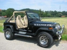 Jeep Wrangler 4.0 - mejor precio | unprecio.es