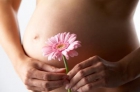 Test de Embarazo - mejor precio | unprecio.es