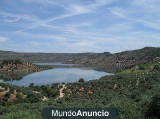 OCASIÓN! FINCA RÚSTICA CARRETERA ÚBEDA-ARQUILLOS(GIRIBAILE)