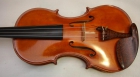 Violín profesional 4/4 - mejor precio | unprecio.es