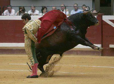 Regalo entradas para JOSÉ TOMÁS Feria de Málaga09'