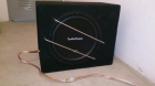 Subwoofer Rockford R1L 12" - mejor precio | unprecio.es