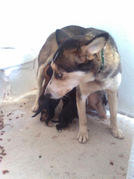 ENCONTRADAS, NECESITAN VOLVER A SUS CASAS