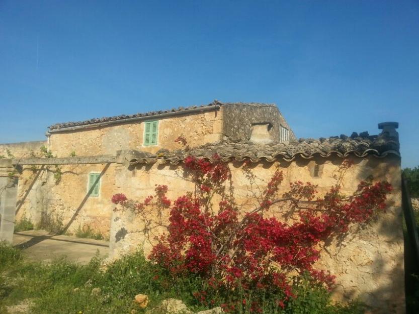 Finca con casa maria de la salut