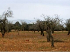 Terreno/Finca Rstica en venta en Llucmajor, Mallorca (Balearic Islands) - mejor precio | unprecio.es