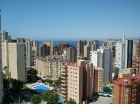 Estudio en Benidorm - mejor precio | unprecio.es