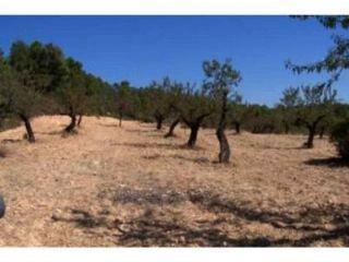 Finca/Casa Rural en venta en Portellada (La), Teruel