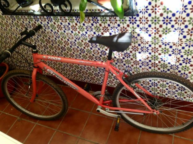 Bicicleta por 60 euros
