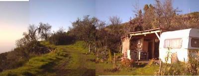 A caravan placed fix in a wild garden,