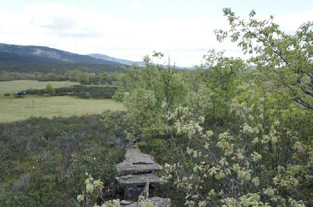 Finca rústica en Campillo de Ranas