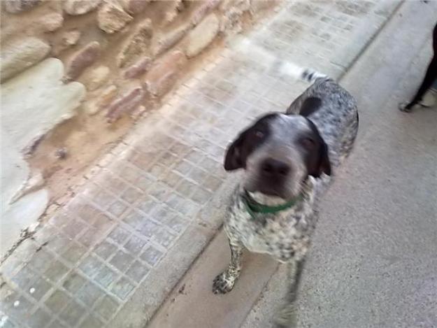URGE SEGUNDO AVISO. En calle en pueblo de Valencia cualquier día desparecerán