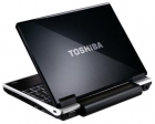 NETBOOK Toshiba NB100 - mejor precio | unprecio.es