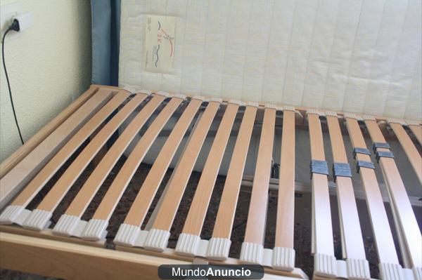 VENDO CAMA ARTICULADA CON MOTOR