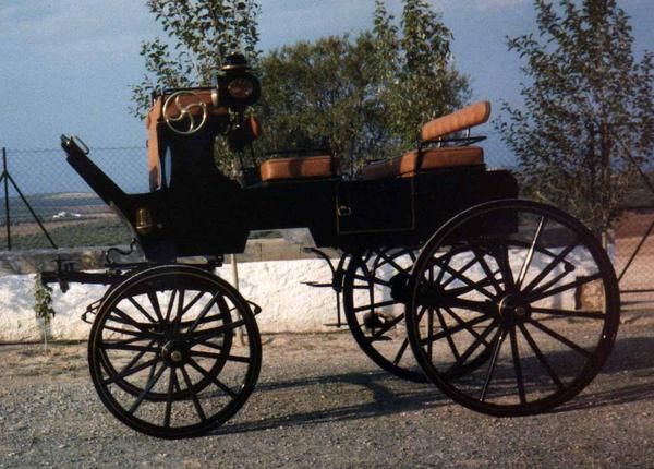 venta coche de caballos