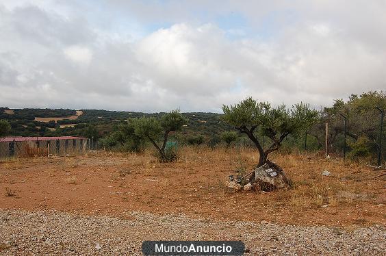 Residencia Canina desde 6 eu