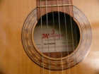 vendo guitarra preciosa, Mendoza, modelo Aleixander - mejor precio | unprecio.es