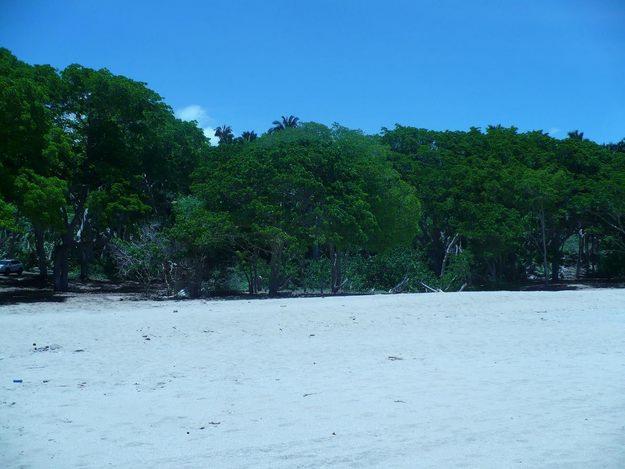 RIVIERA MAYA  , Y PLAYA DEL CARMEN,  MARAVILLOSOS TERRENOS CON USO DE SUELO HOTELERO