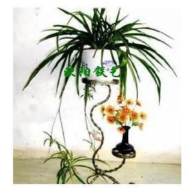Iron Flower Stand Flor estructura de hierro estanterías piso pantalla