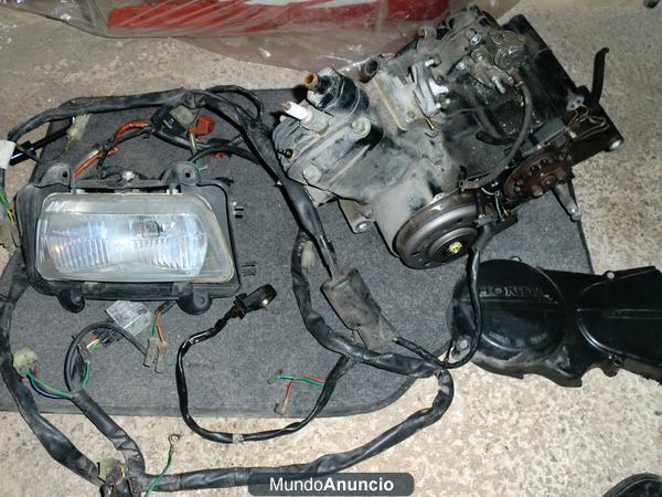 cableado honda nsr 50