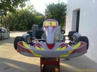 KART ROTAX MAX 125CC - mejor precio | unprecio.es