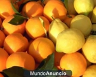 vendo naranjas y limones - mejor precio | unprecio.es