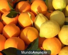 vendo naranjas y limones - mejor precio | unprecio.es
