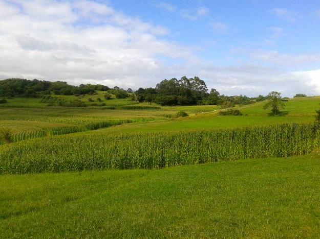 Finca rústica en Valdáliga